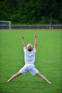 乐鱼（LEYU）体育-高校体育赛事观众体验提升，高校体育赛事观众体验提升方案