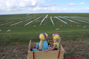 乐鱼官网-青少年足球训练方法现代化，青少年足球技术